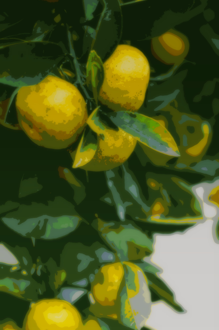 Unidentified Fruit