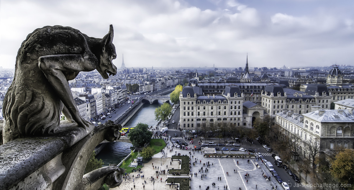 •  sur le qui vive  ~ in a state of heightened vigilance  •