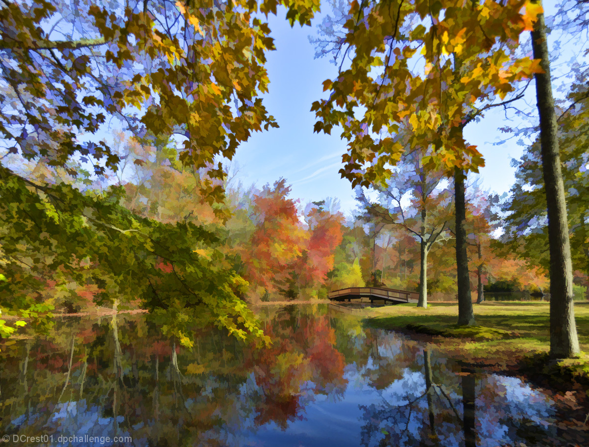 Fall at the Park