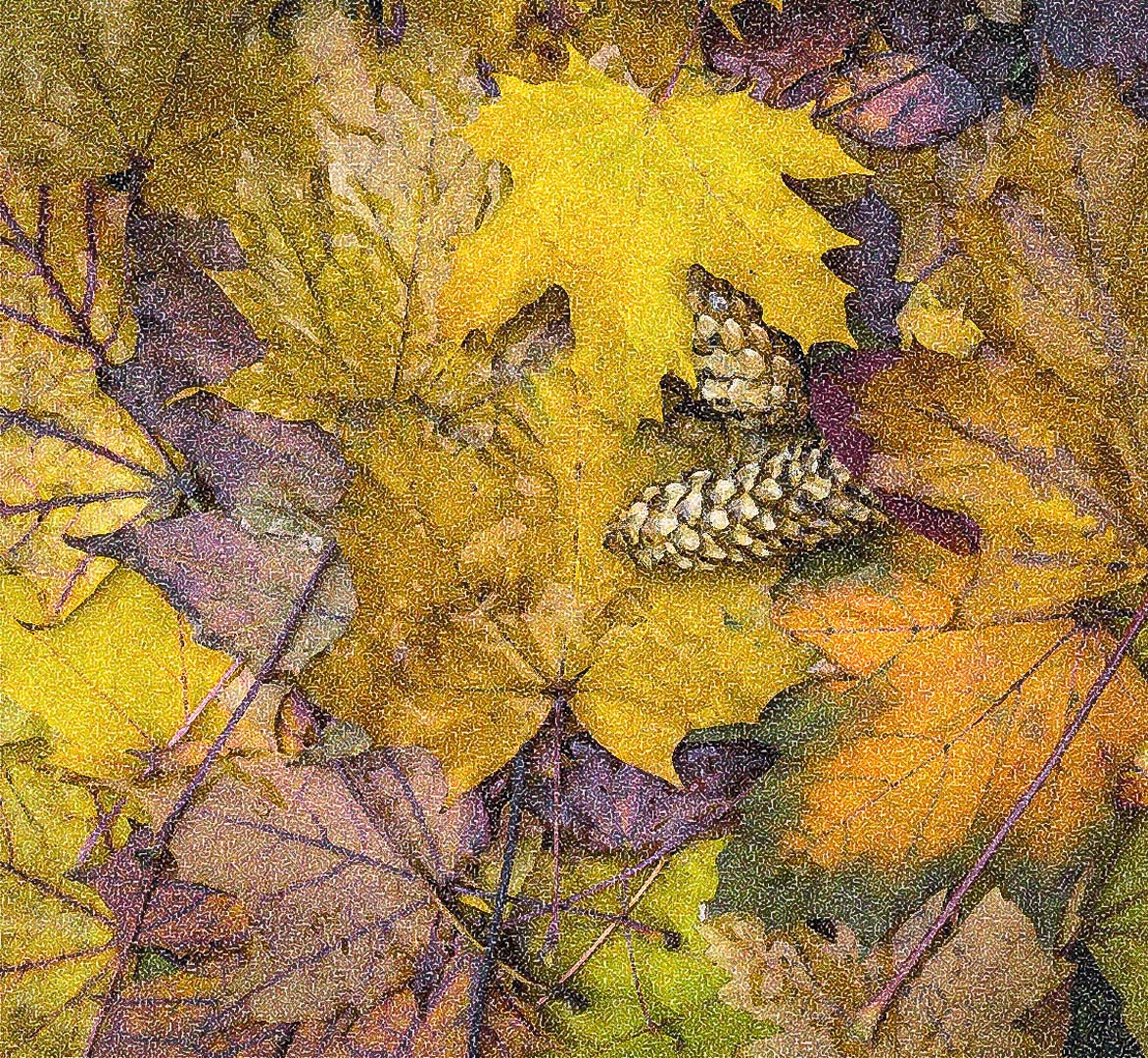 Autumn Leaves