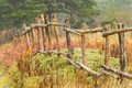 Where Field Meets Fence