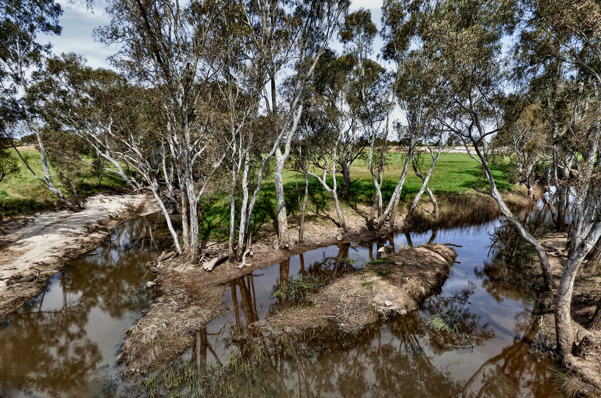 Meeting of McCallum and Tullaroop Creeks