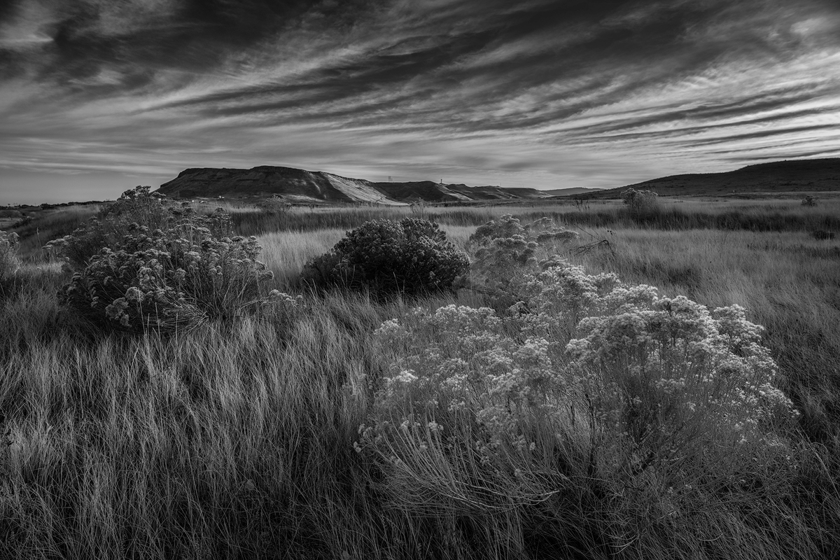 High Plains