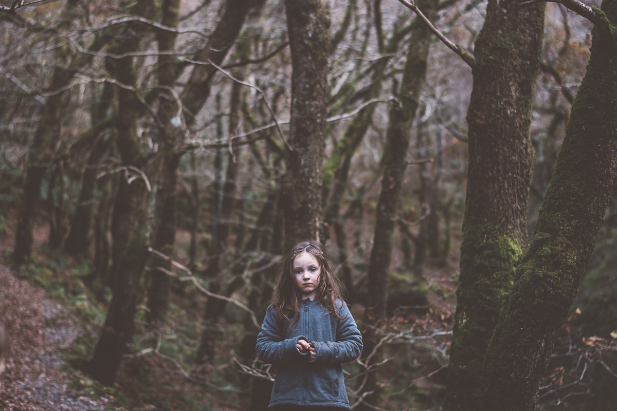 In The Wood