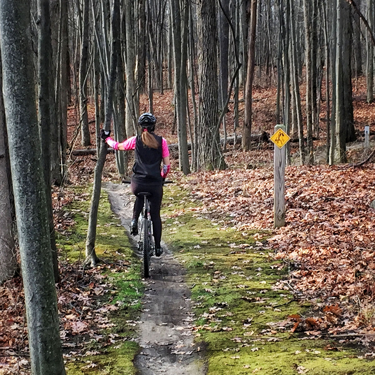 Mountain Bike Rest Stop