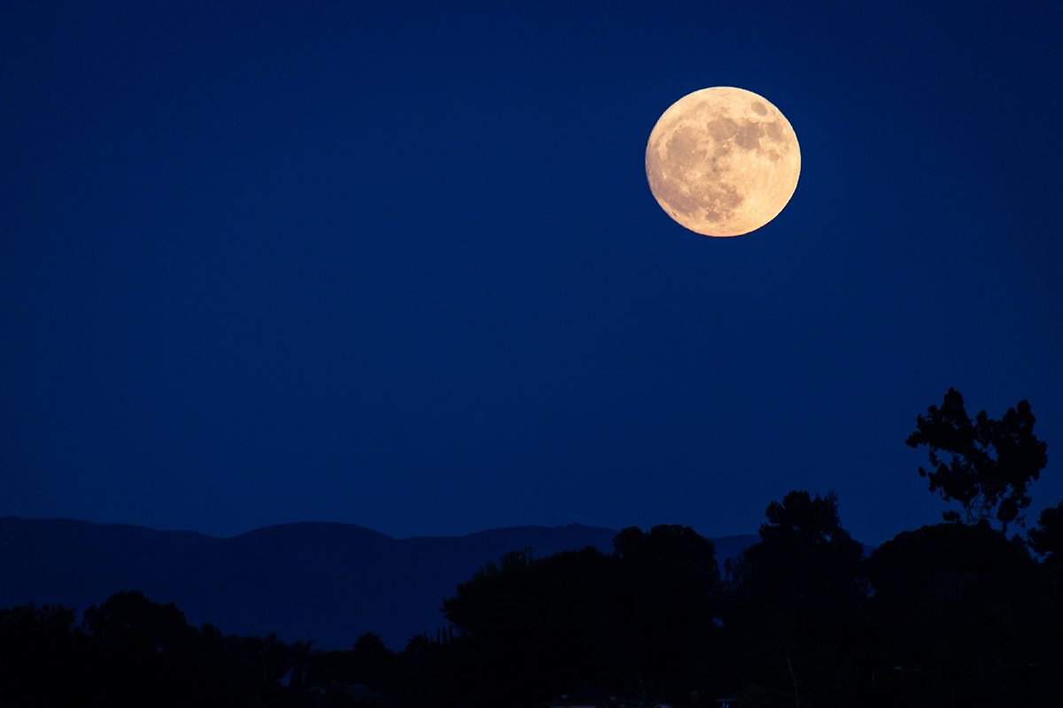 Yellow Moon Rise