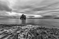 Hvitserkur