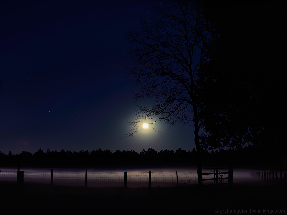 Ground Fog, Moon and Stars