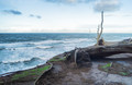 Wind-Swept
