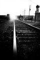 Into the light
