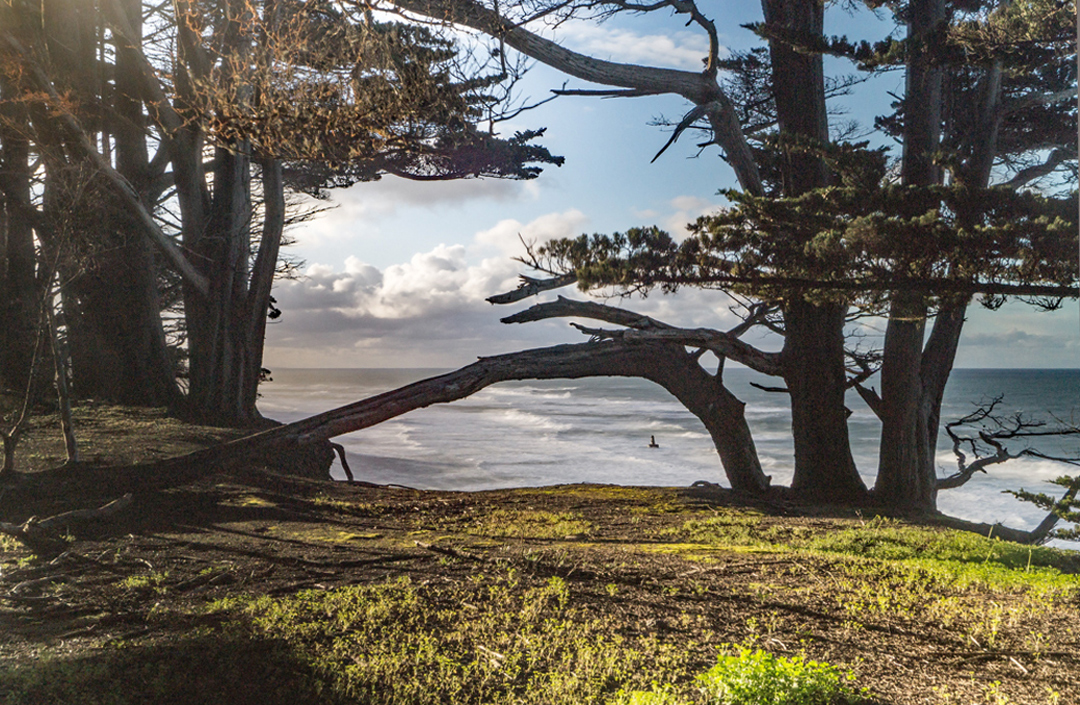 First Light at Cliff's Edge