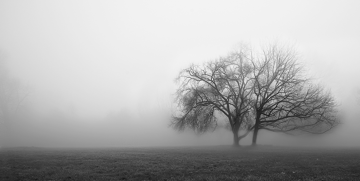 Alone in the fog