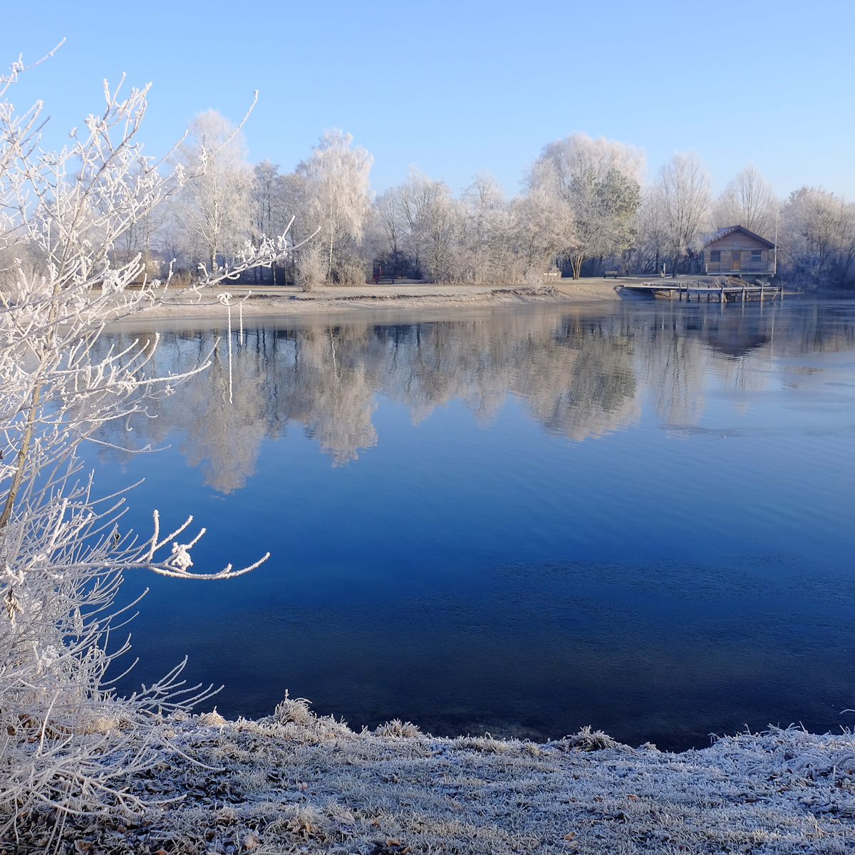 hibernating swimming pond