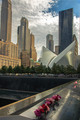 WTC reinvented