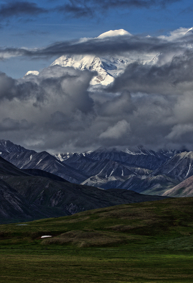 Denali in Early Summer