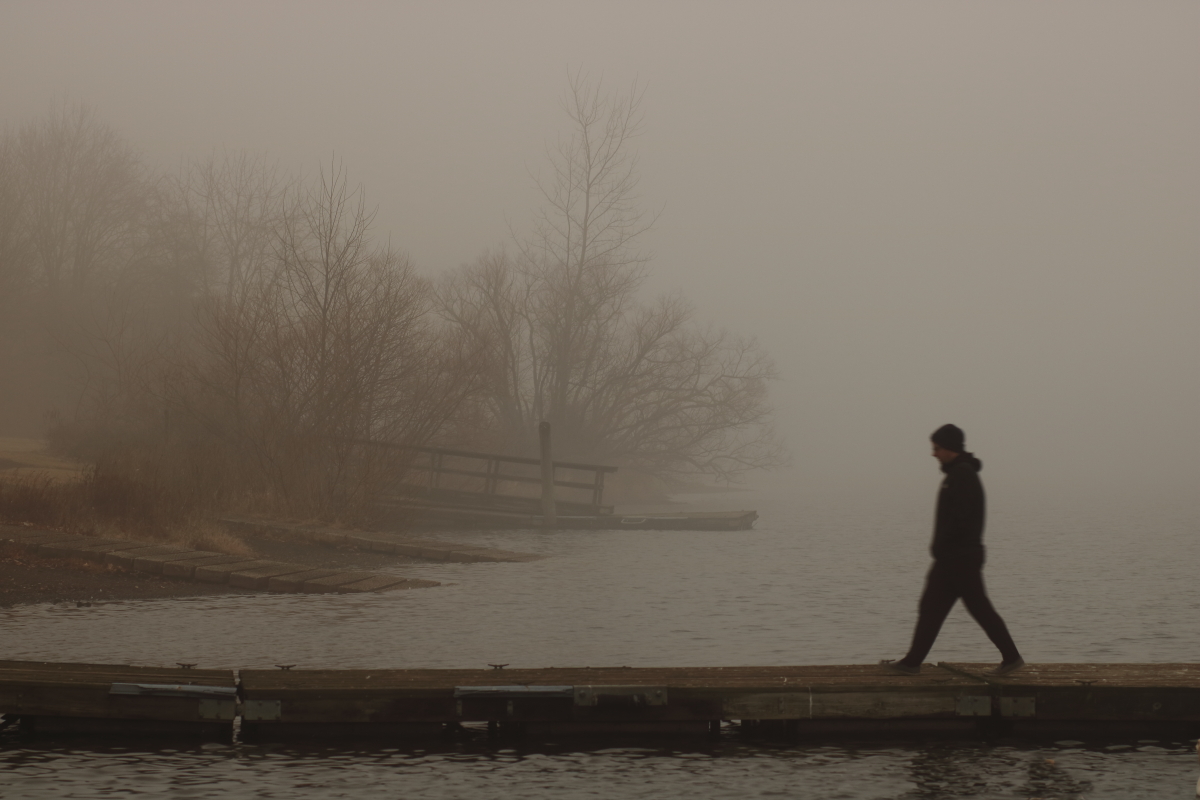        Crossing the Dreamscape