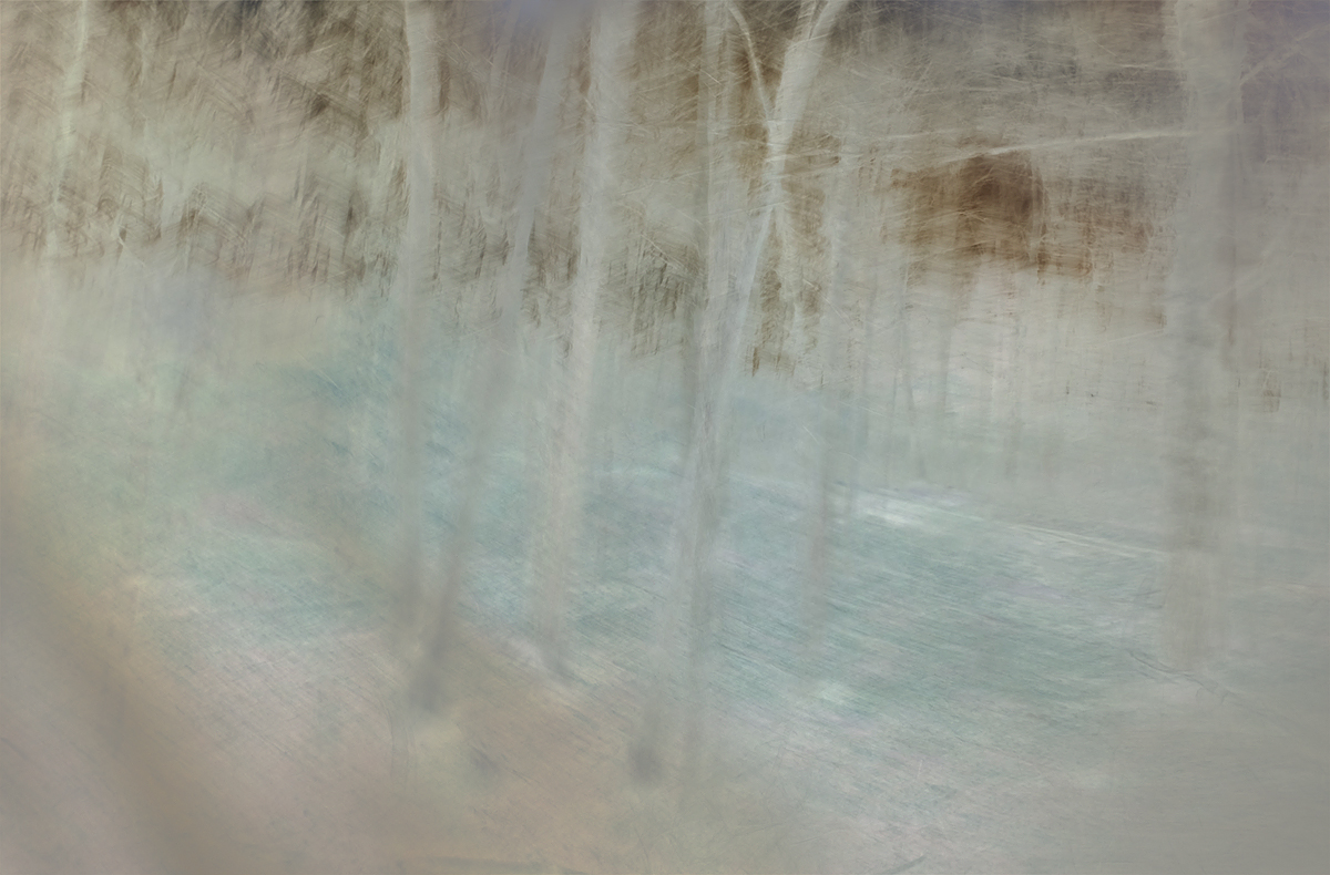 Icewood