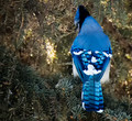 A blue jay on a cold winter's day