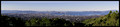 Bay Area Panorama