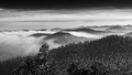 Valley Fog