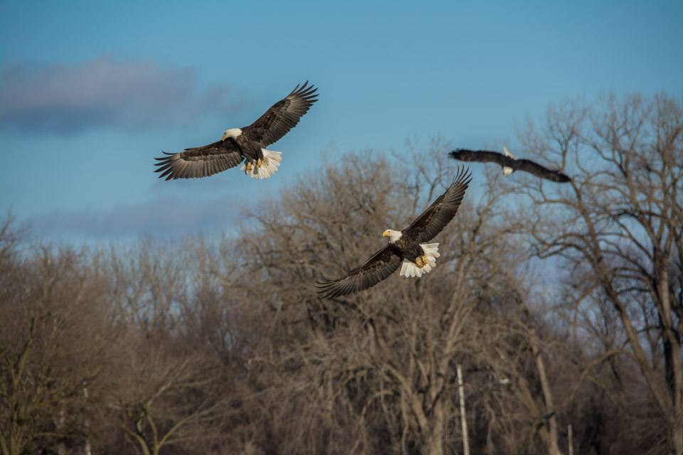 Bright, bright sunshiny day and cold