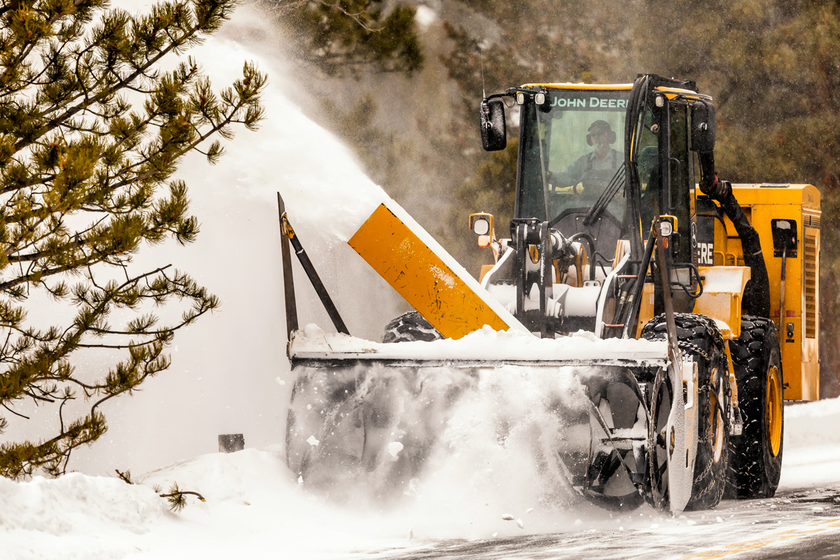 Battling Snowzilla