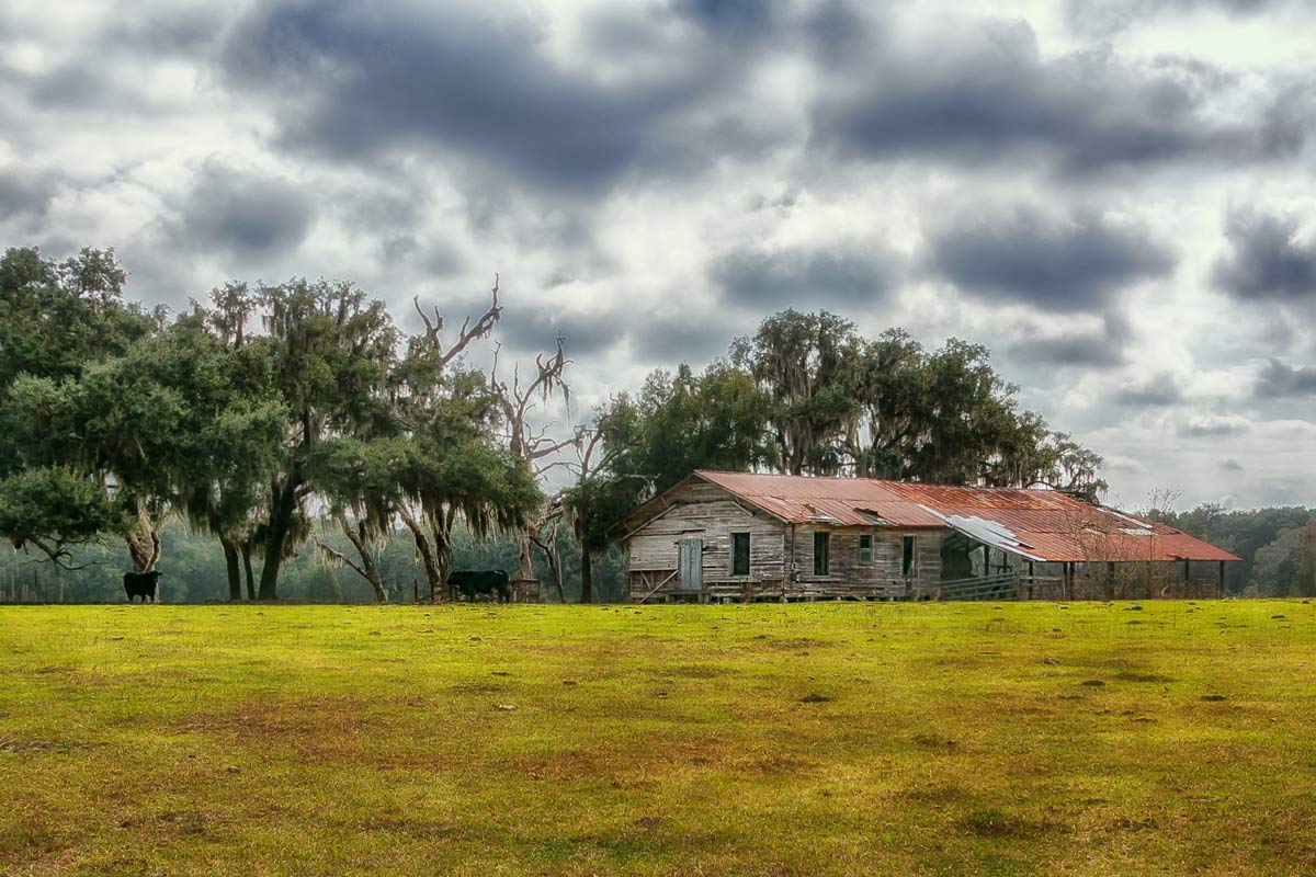 ~A Florida Cold Front~