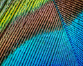 Puzzle Macro VI