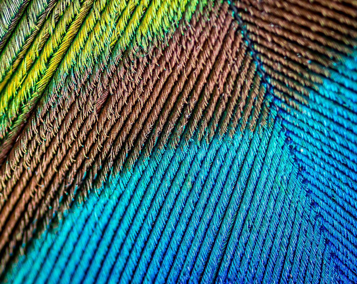 Puzzle Macro VI