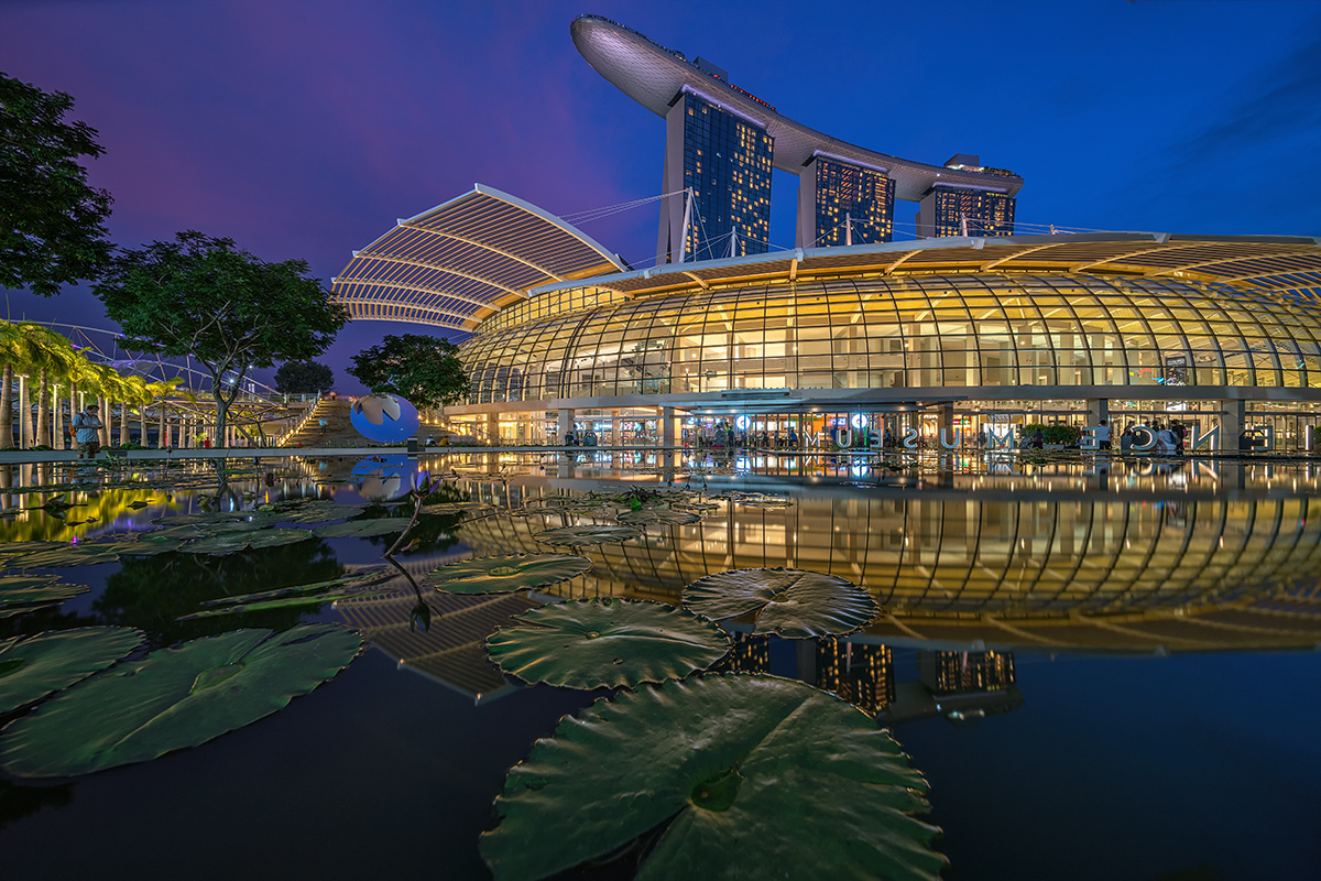 City Lilly Pond