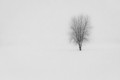 Snow Storm