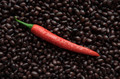 Proto-chili