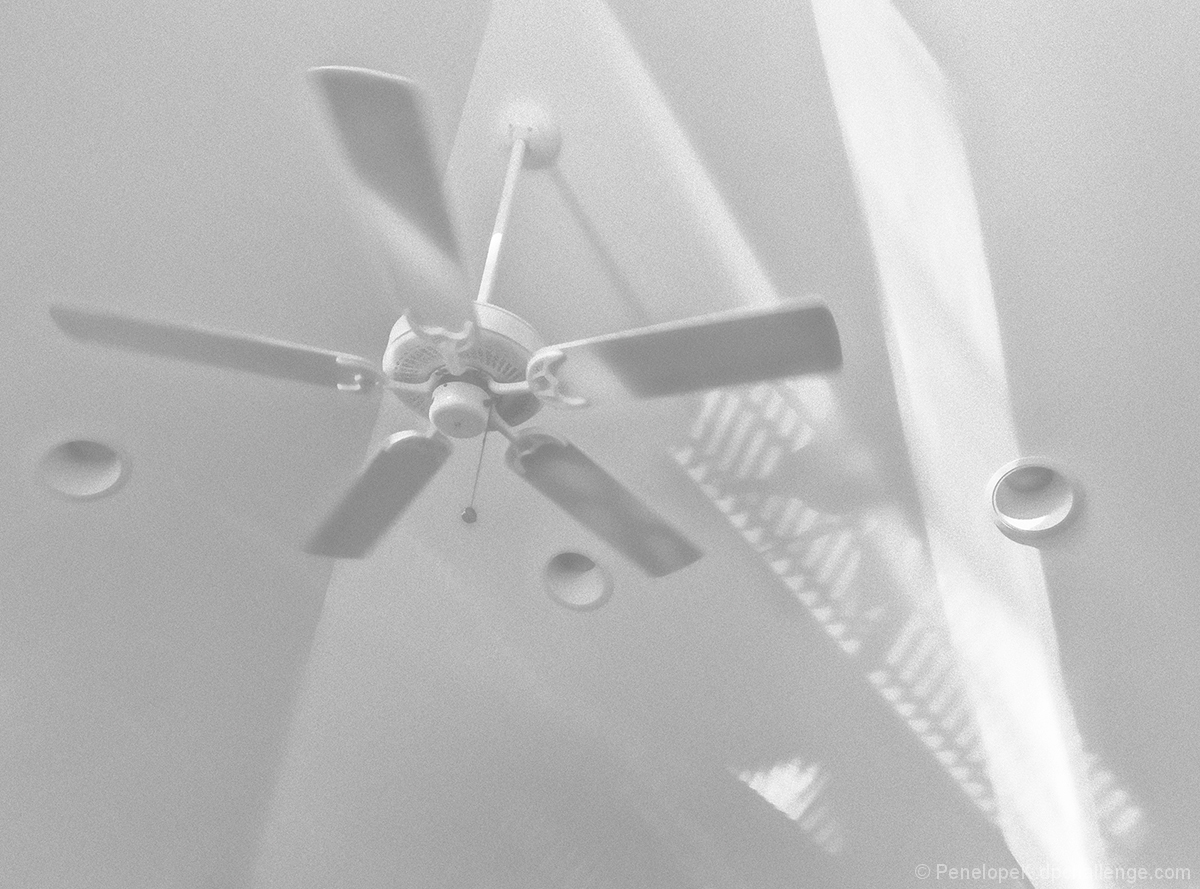 Tripping the Light Fantastic