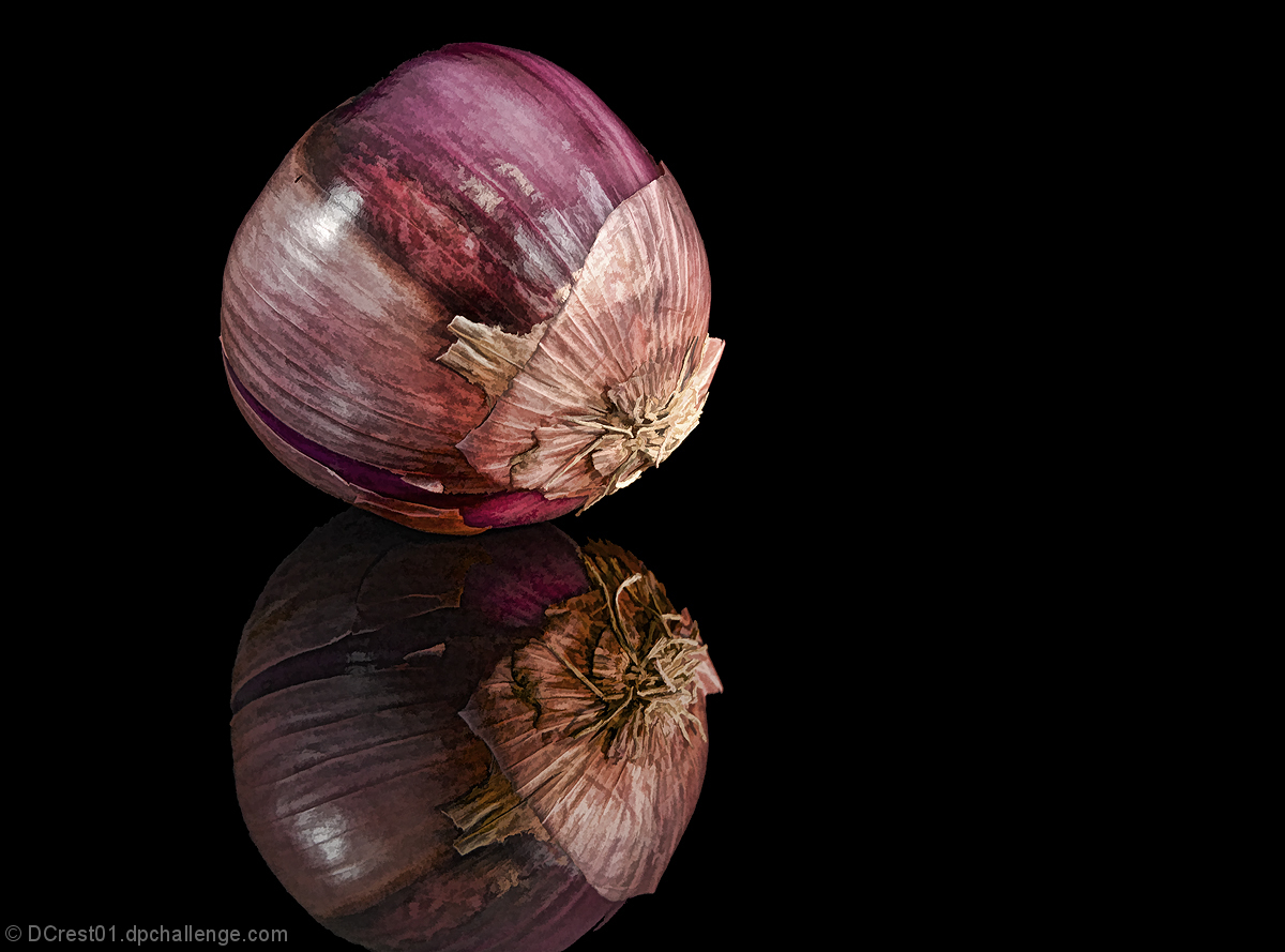 Onion