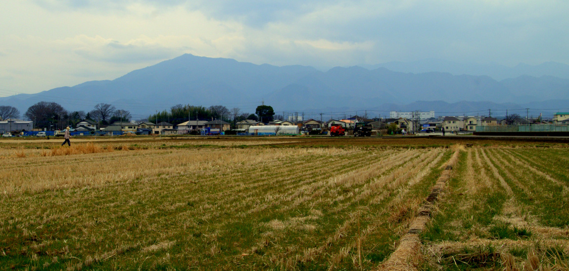 Farmer's Field