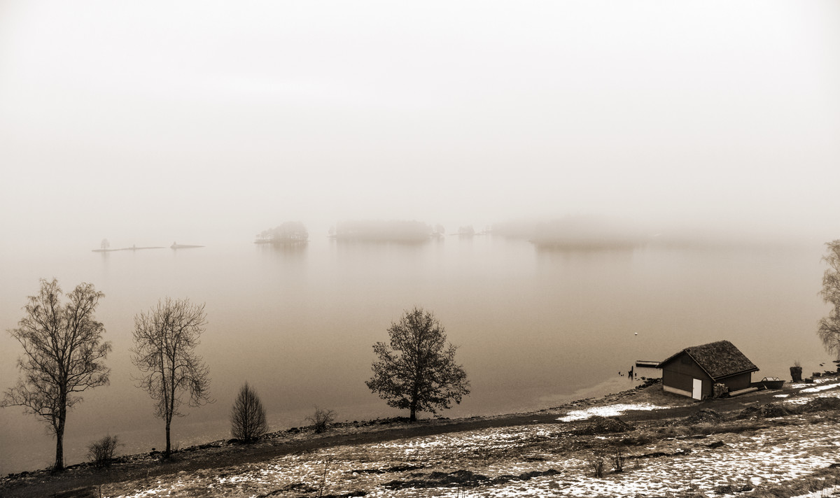 Peaceful and foggy afternoon by the lake