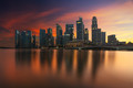 Vibrant City