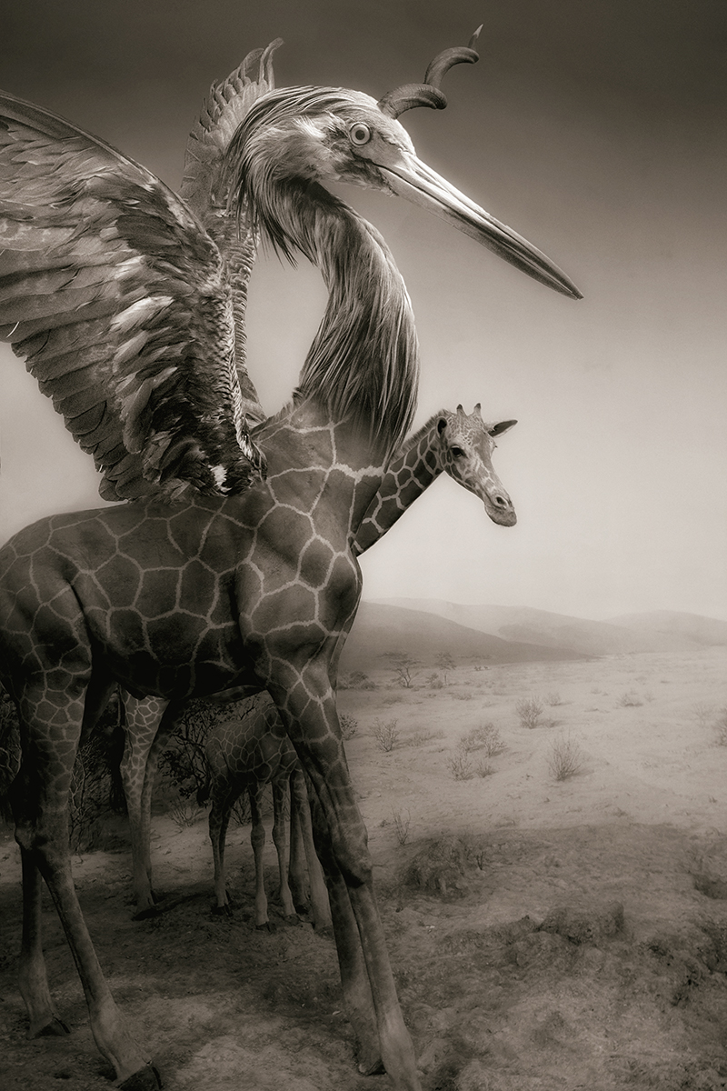 The Great Egrafficorn