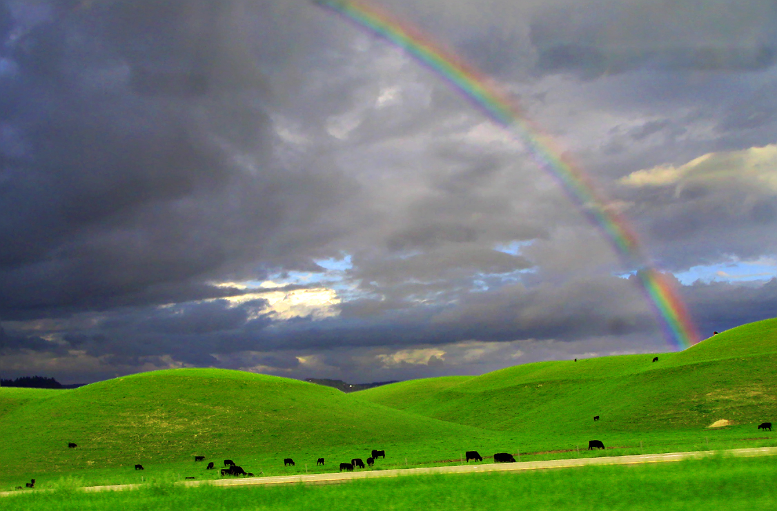 Chasing Leprechauns