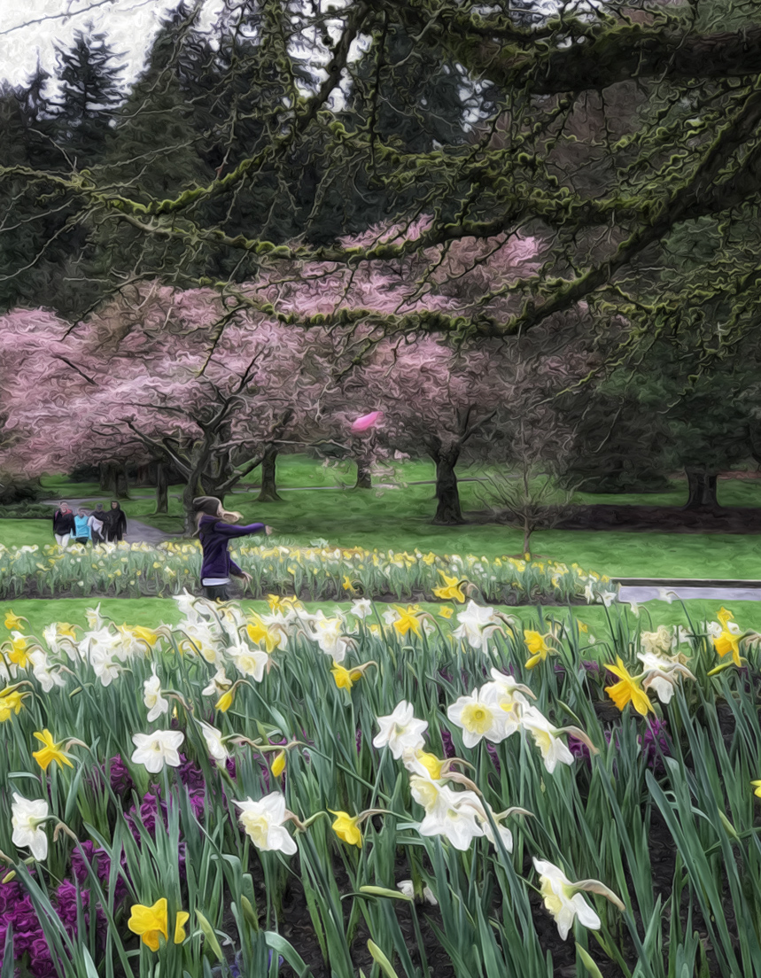 springtime in the park