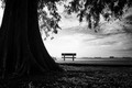 Where We First Kissed...