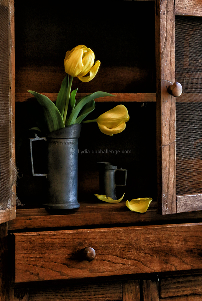 Tulips at Rest