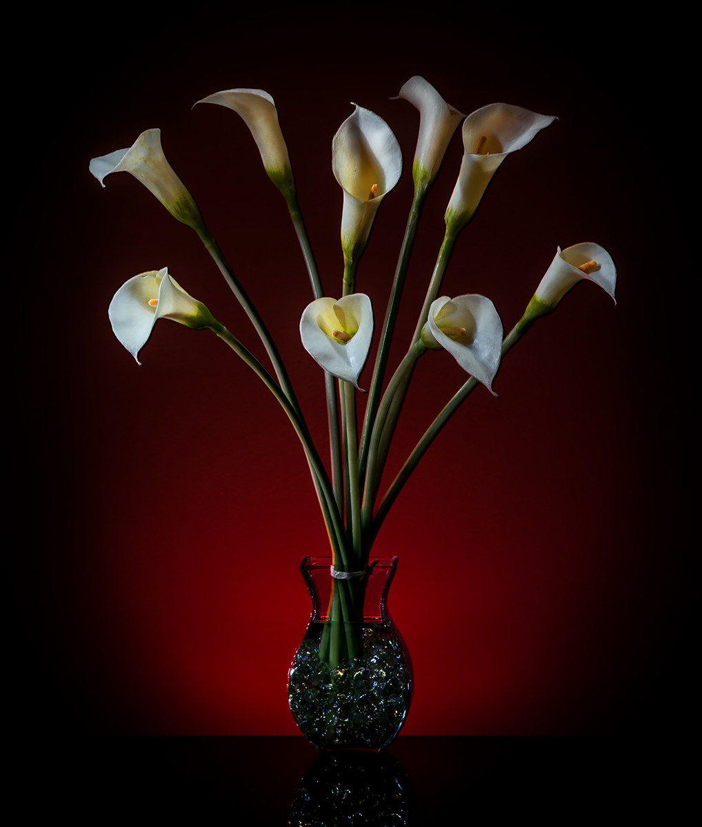 Calla Lillies