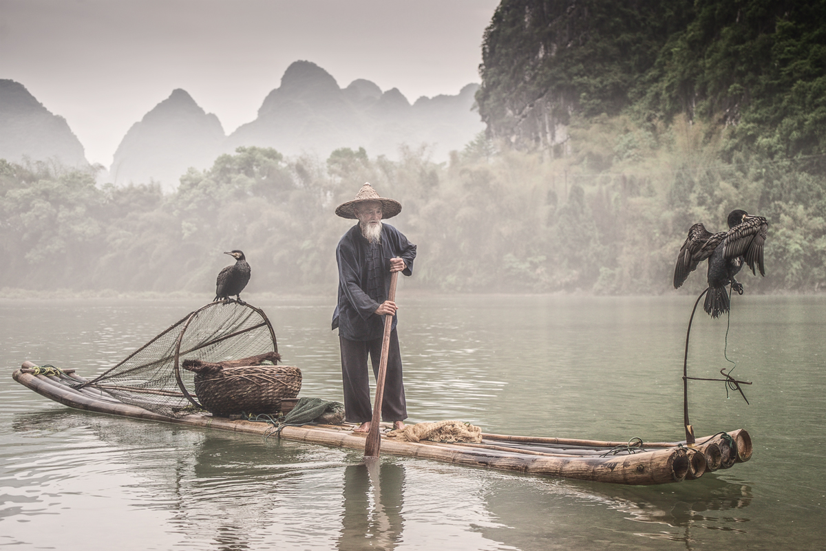 Cormorant Fisherman 