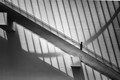 Noon Shadows - Virtual Suspension Bridge