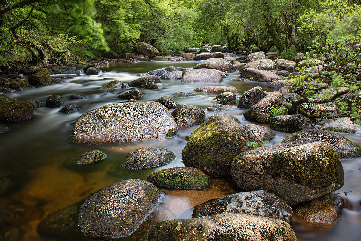 The River Dart