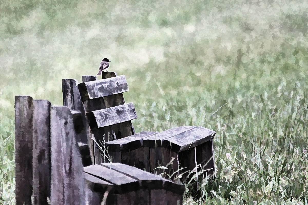 Vantage Point
