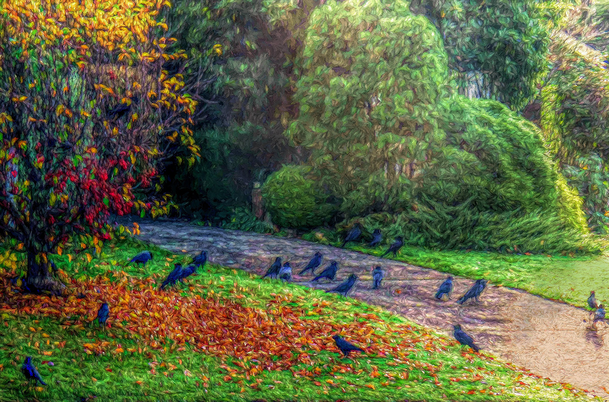 Autumn Crows and Crabapples