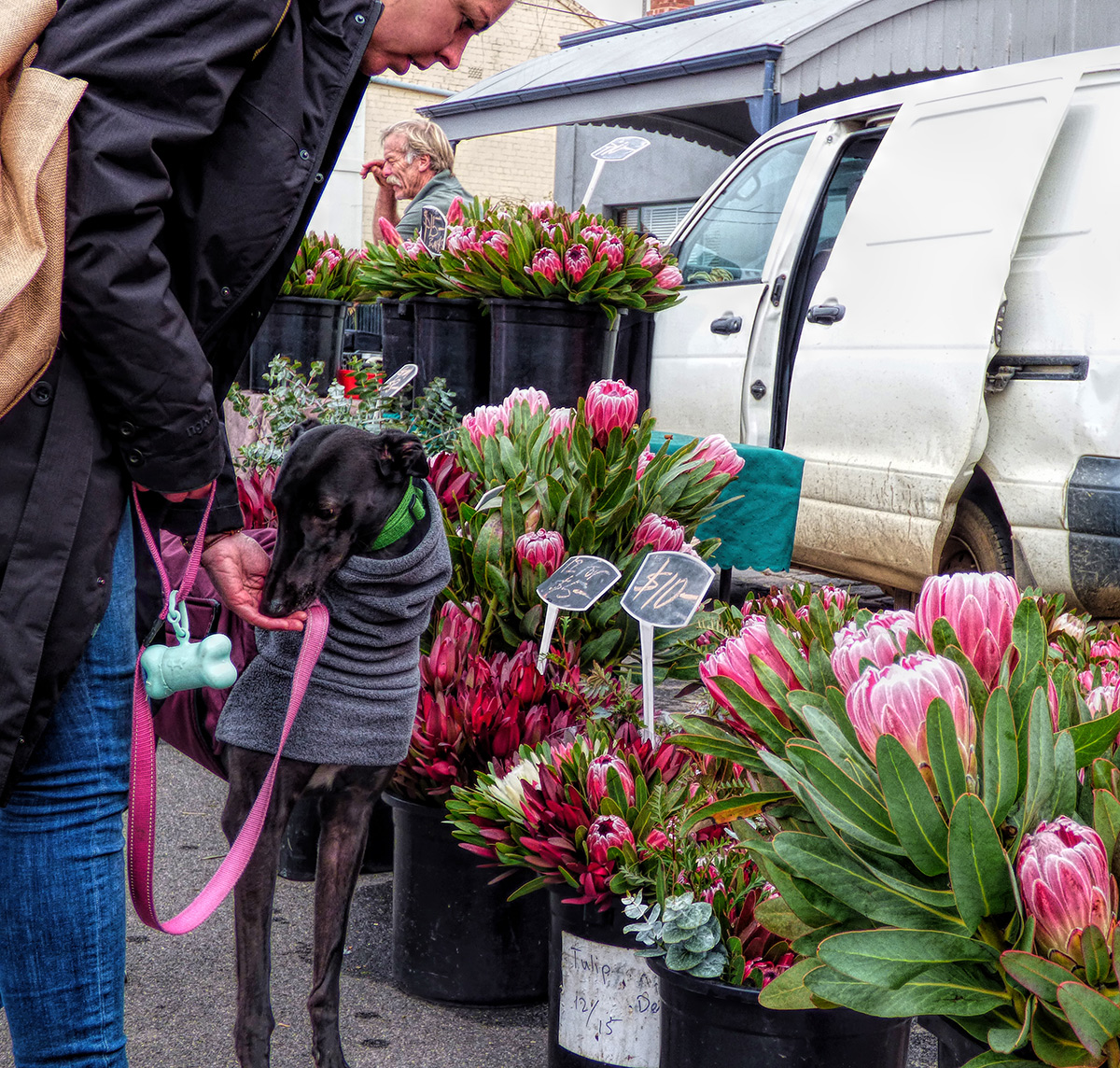 Market Treasures