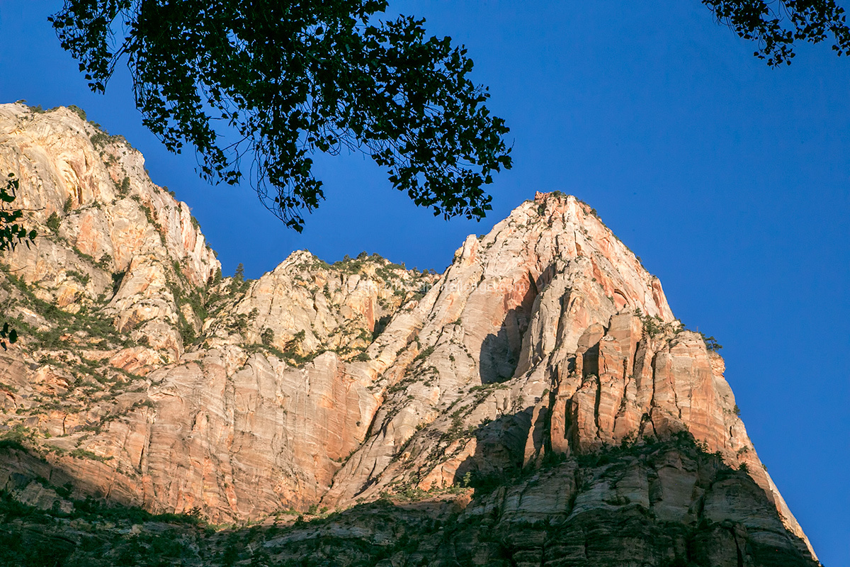 Zion Sunrise